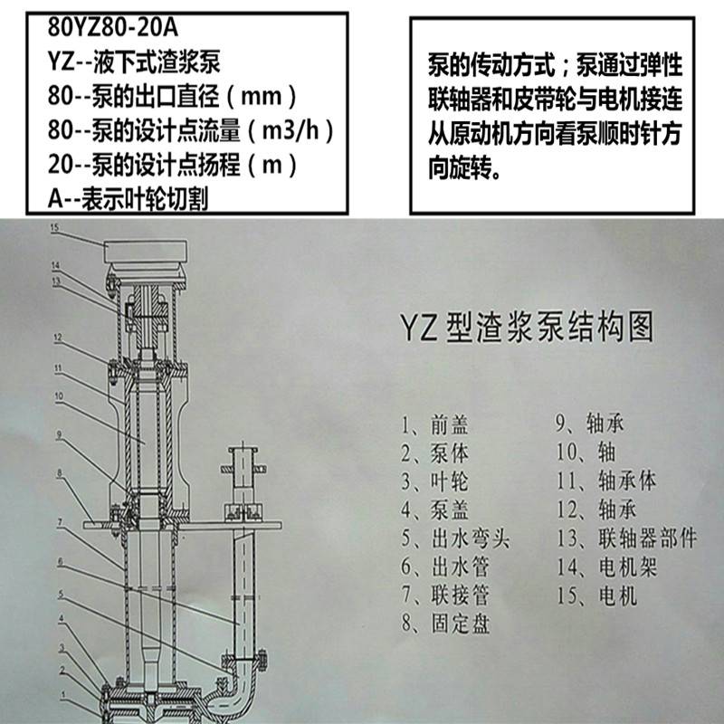 澳门精准6肖